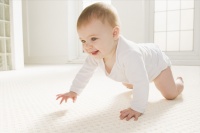 一岁内婴儿的智力发展有八次飞跃